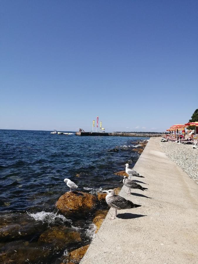 Apartments Sven-Marino Poreč Dış mekan fotoğraf