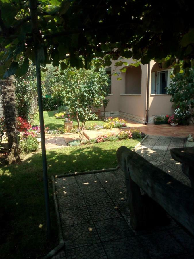 Apartments Sven-Marino Poreč Dış mekan fotoğraf